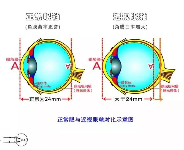 预防近视 保护视力！