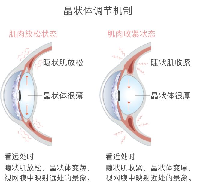 微信图片_20220302140351.jpg