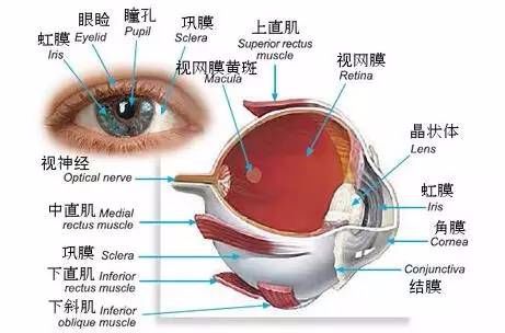 微信图片_20220303100320.jpg