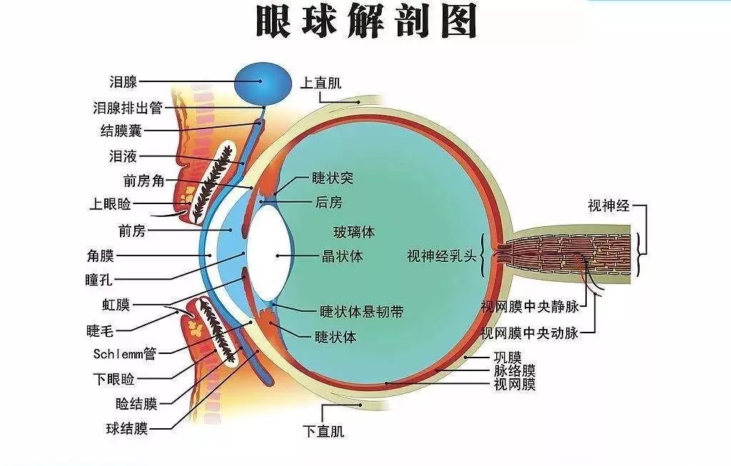 微信图片_20220912173318.jpg