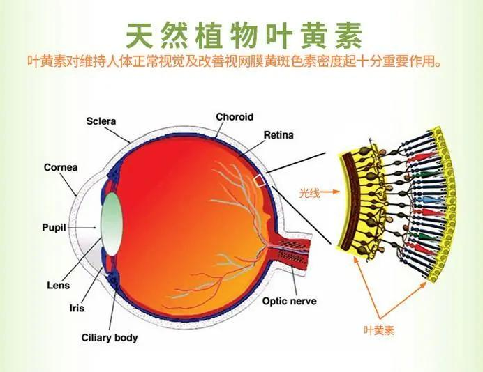 微信图片_20231025081914.png