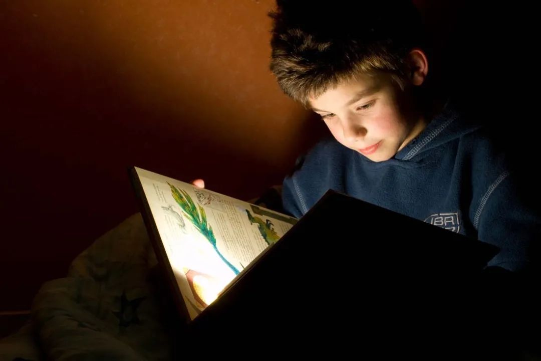 微信图片_2026-01-06_082512_649.jpg 微信图片_2026-01-06_082512_649.jpg